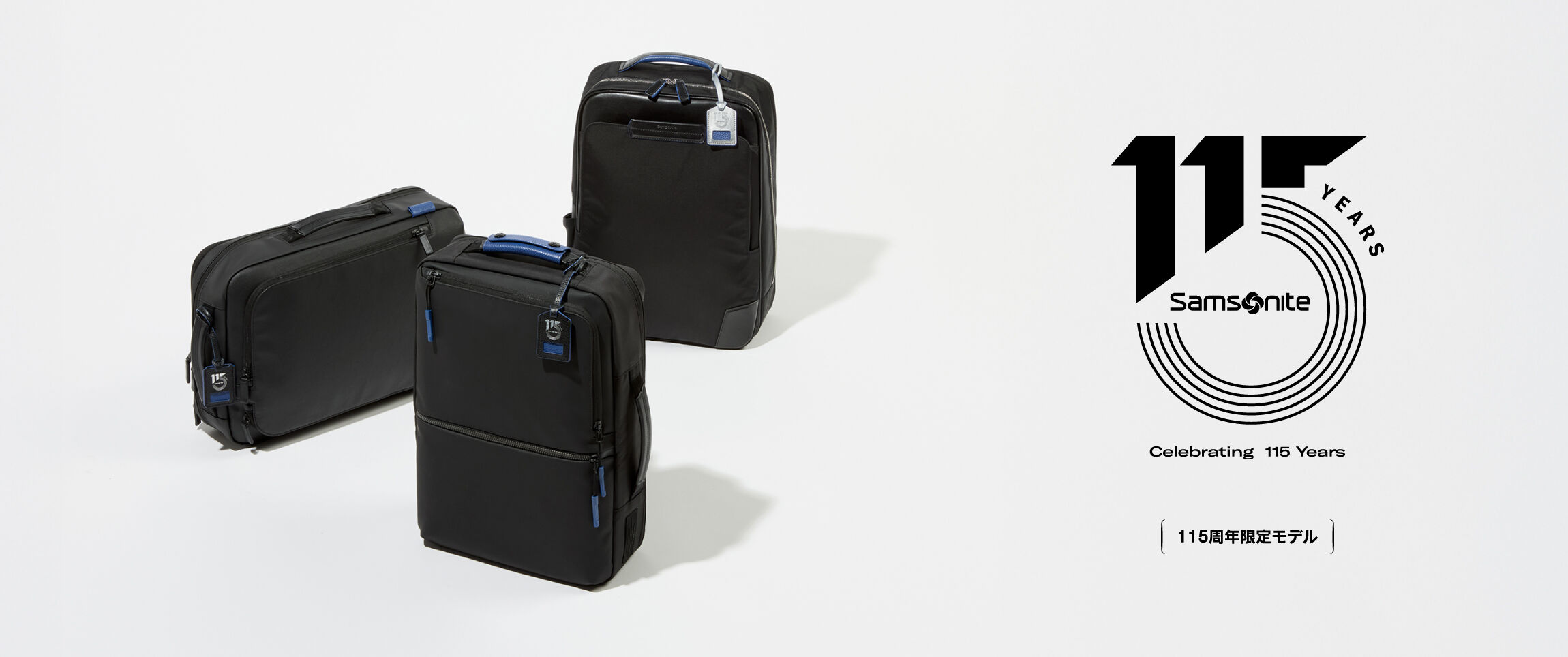数量限定！在庫処分セール 売り切れ御免 スーツケース、ビジネスバッグ/サムソナイト(Samsonite)公式 語学・辞書・学習参考書