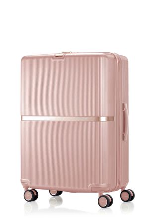 ミンター スピナー69 エキスパンダブル