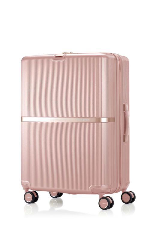 ミンター スピナー69 エキスパンダブル