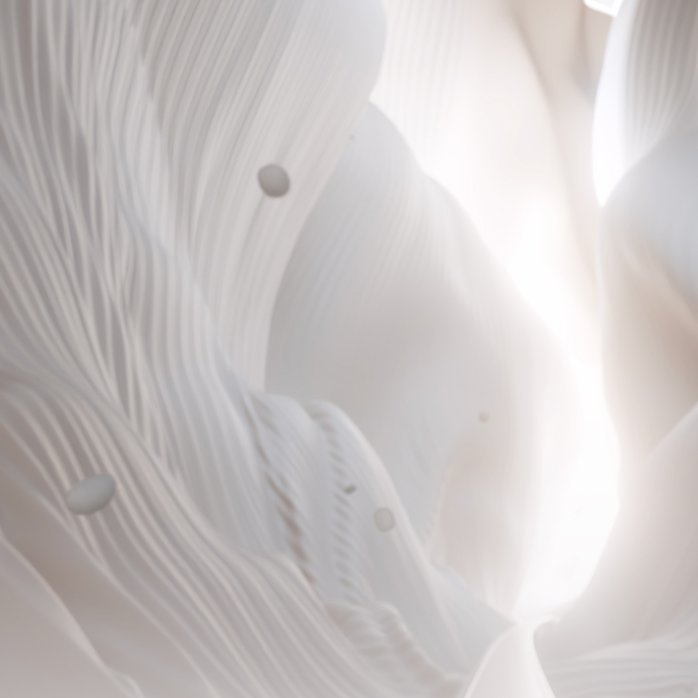 GOING BEYOND | Smoothening