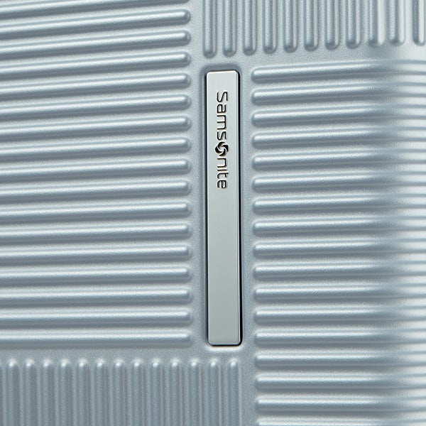 レクサ スピナー68 エキスパンダブル