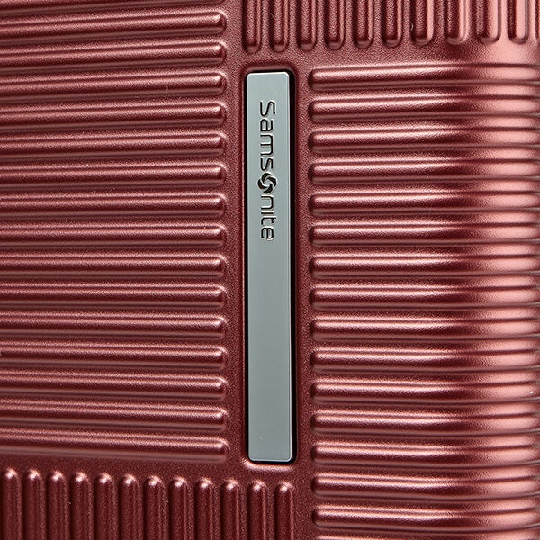 レクサ スピナー55 エキスパンダブル