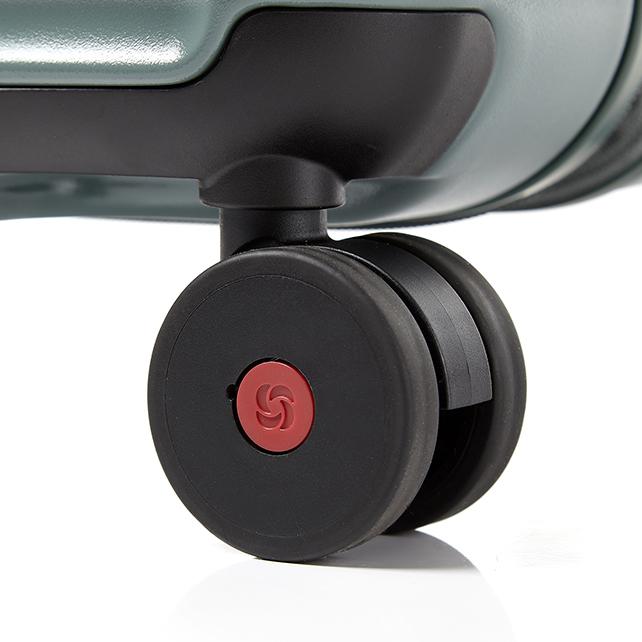 トイズ シー トランク