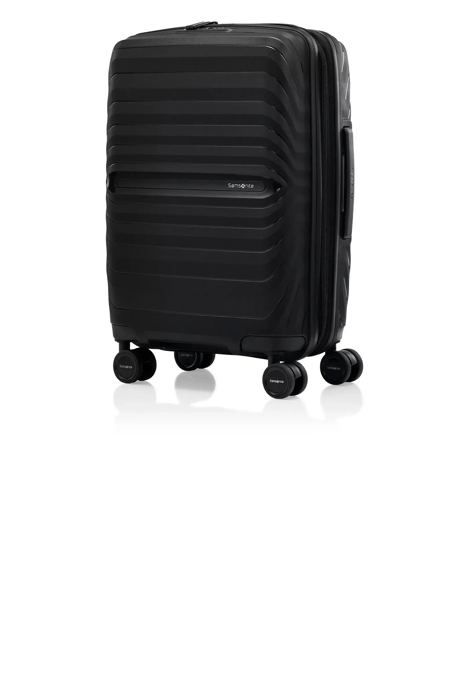 オクトライト ネオ